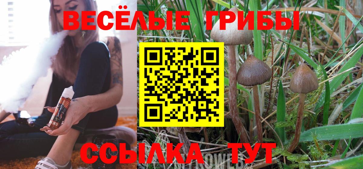 Галлюциногенные грибы Cubensis Бор