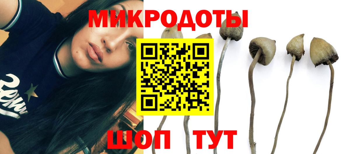 Галлюциногенные грибы GOLDEN TEACHER  Галлюциногенные грибы мицелий  Бор  Вход с VPN 